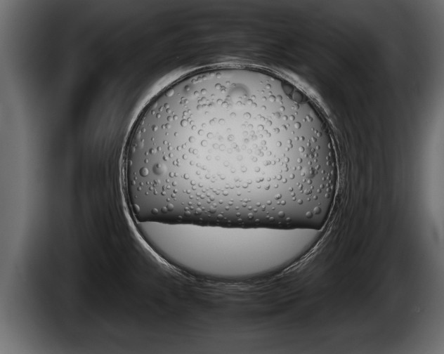 X0000086761239200704130807