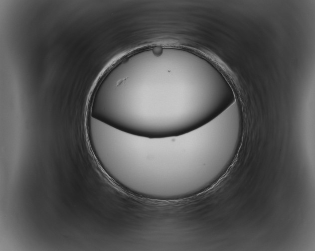 X0000086761240200704130807