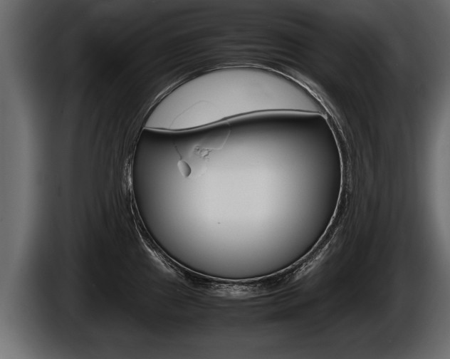 X0000086761241200704130807