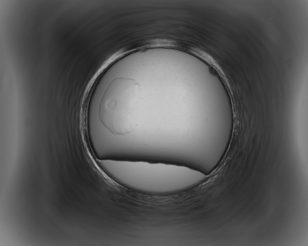 X0000086761243200704130807