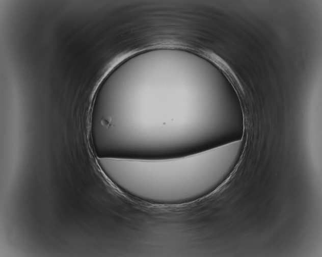 X0000086761244200704130807