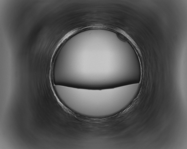 X0000086761245200704130807
