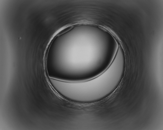 X0000086761246200704130807