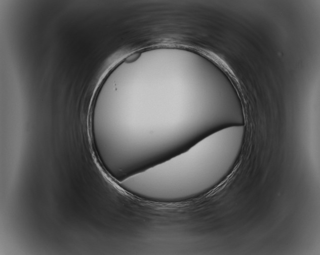 X0000086761247200704130807