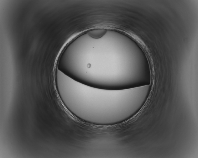 X0000086761248200704130807