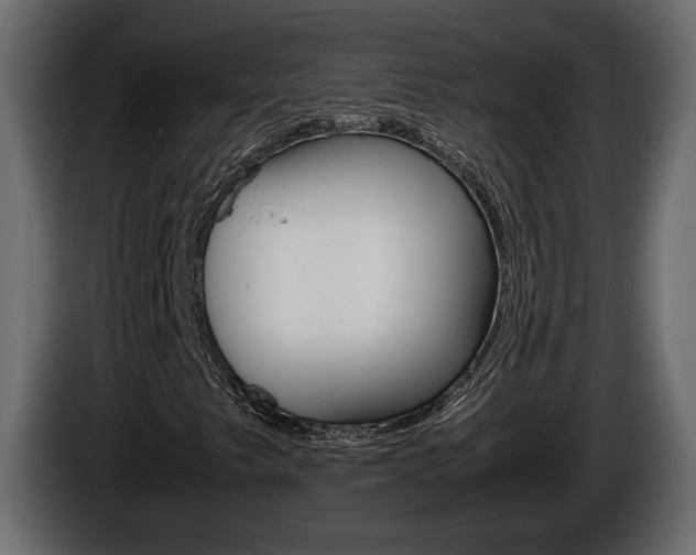 X0000086761249200704130807