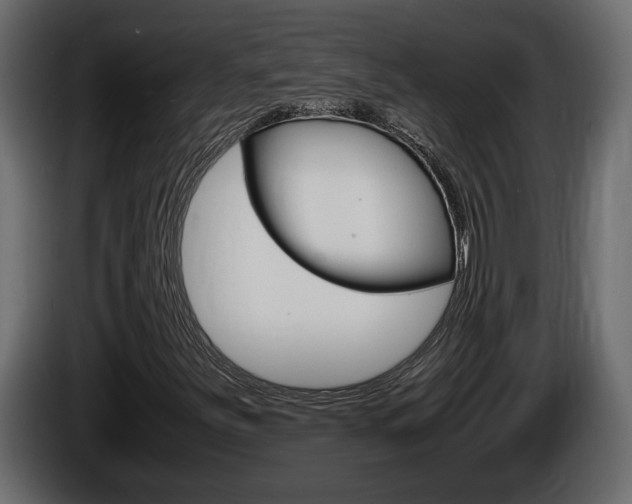 X0000086761251200704130807