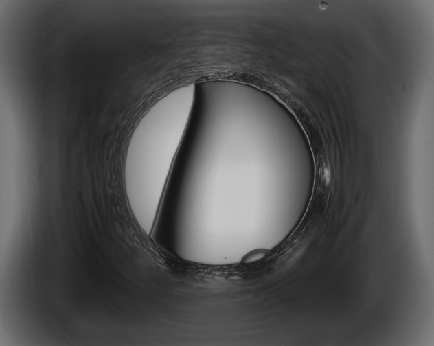 X0000086761252200704130807