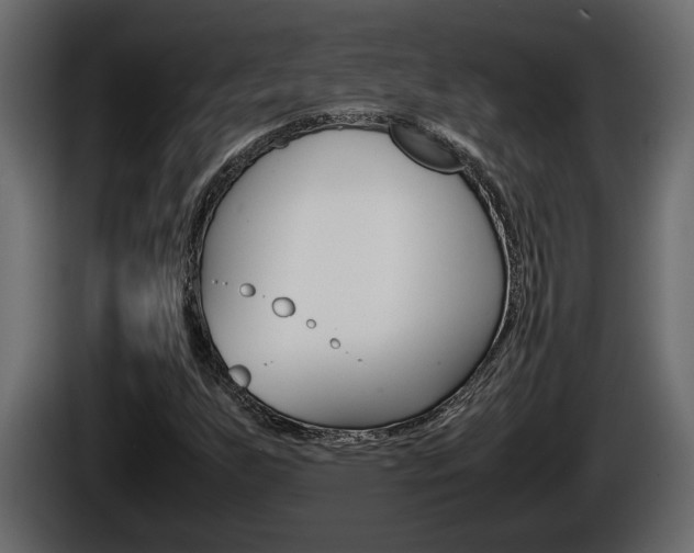 X0000086761255200704130806