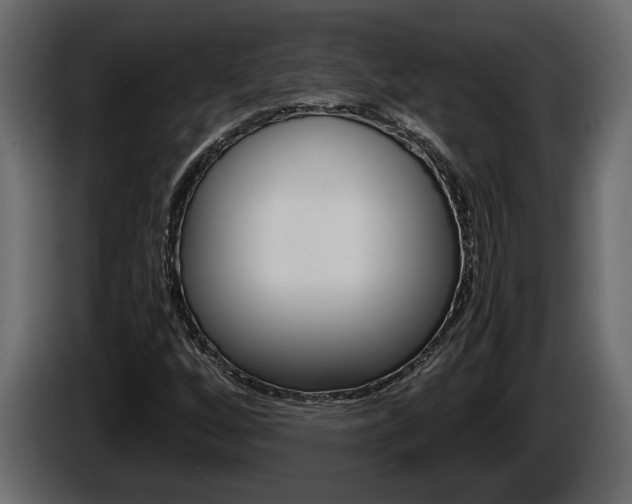 X0000086761256200704130806