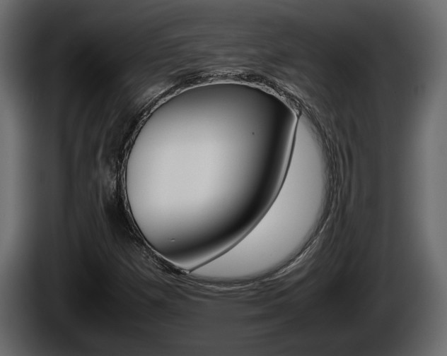 X0000086761257200704130806