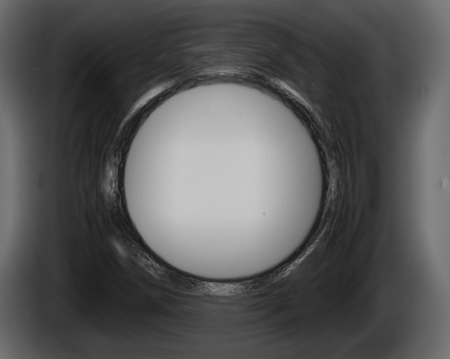 X0000086761258200704130806