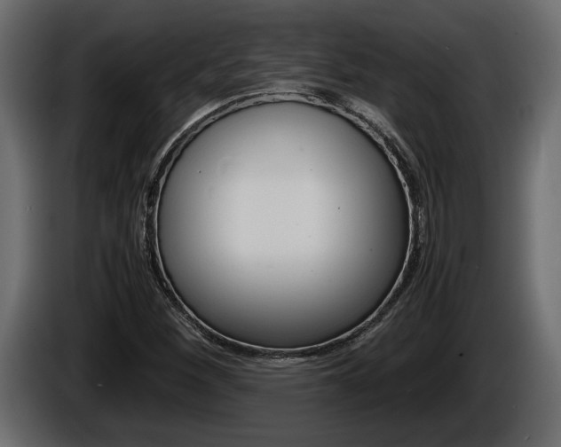 X0000086761260200704130806