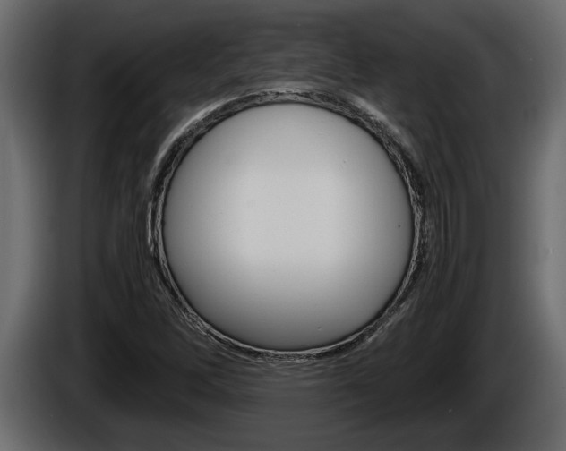 X0000086761262200704130806