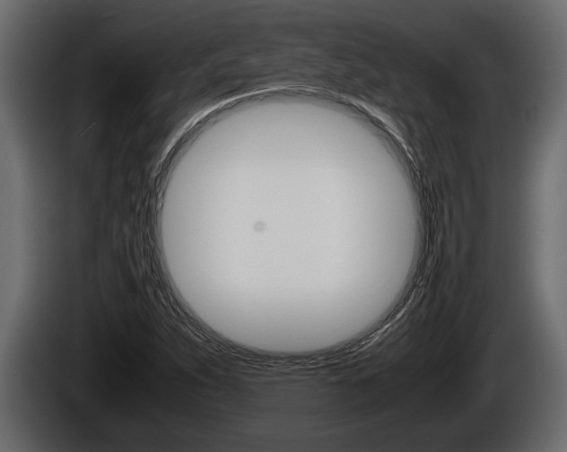 X0000086761263200704130806