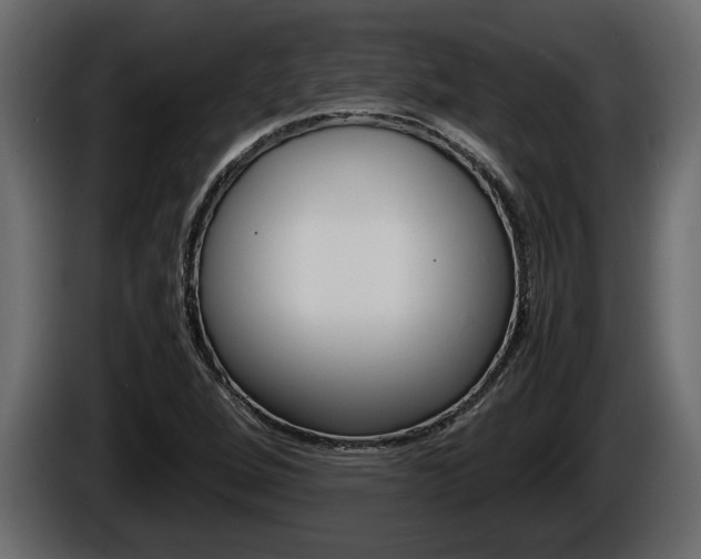 X0000086761264200704130806