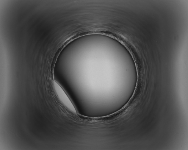 X0000086761265200704130806