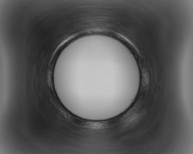 X0000086761266200704130806