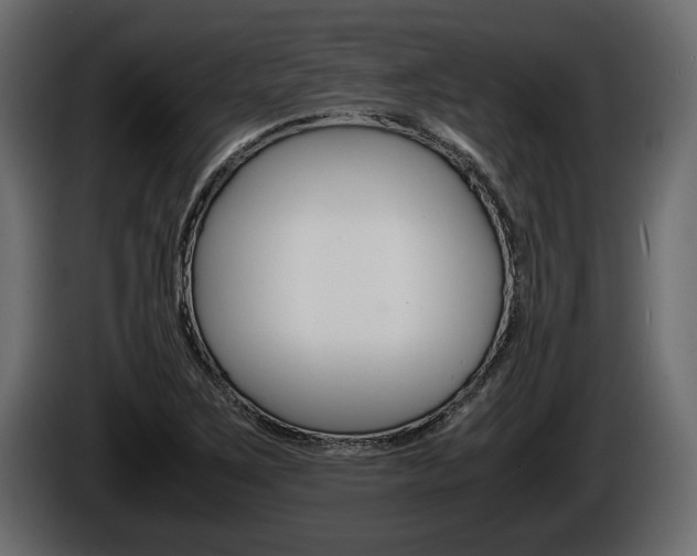 X0000086761267200704130806