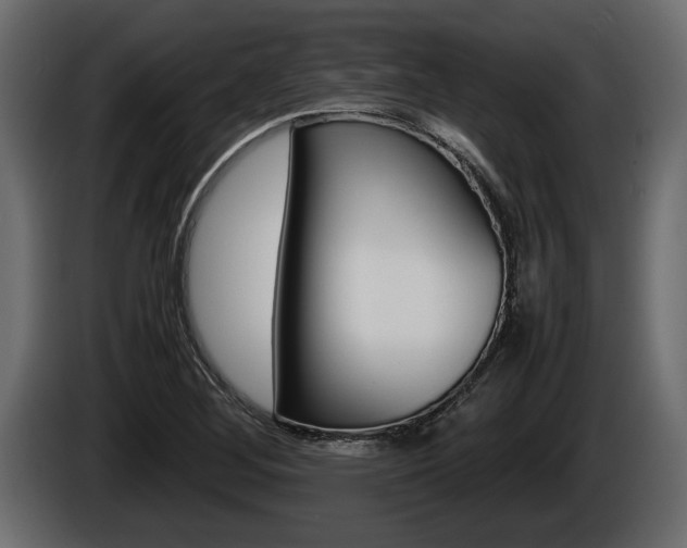 X0000086761268200704130806