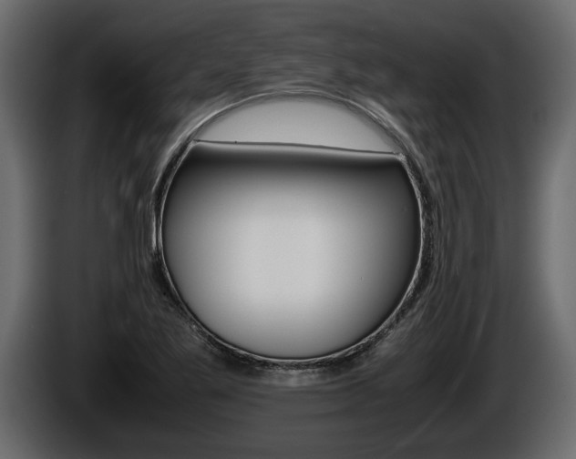 X0000086761269200704130806
