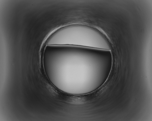 X0000086761270200704130806