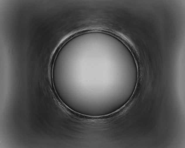 X0000086761272200704130806
