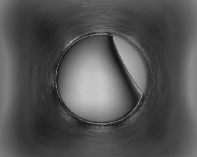 X0000086761273200704130806