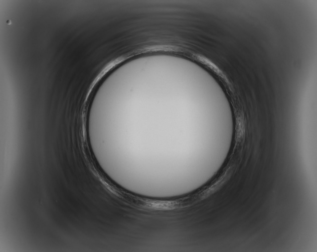 X0000086761274200704130806