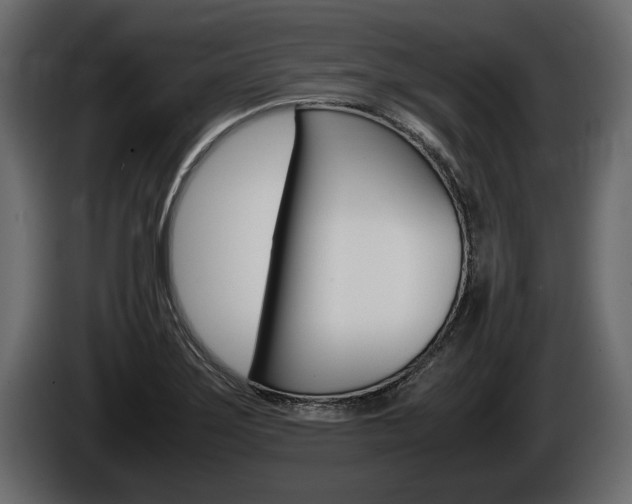 X0000086761275200704130806