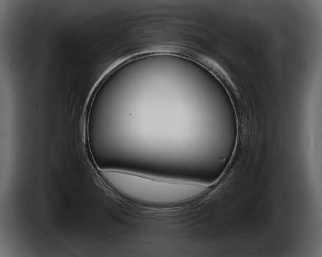 X0000086761276200704130806