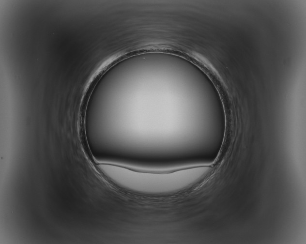 X0000086761277200704130806