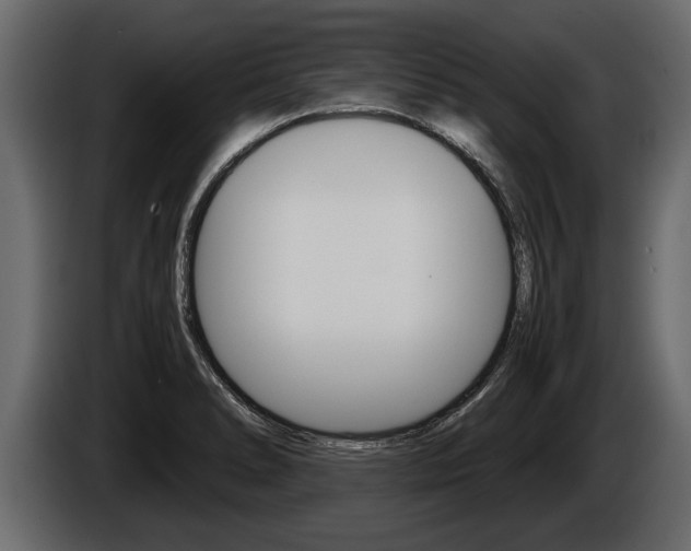 X0000086761278200704130806
