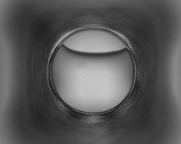 X0000086761279200704130806