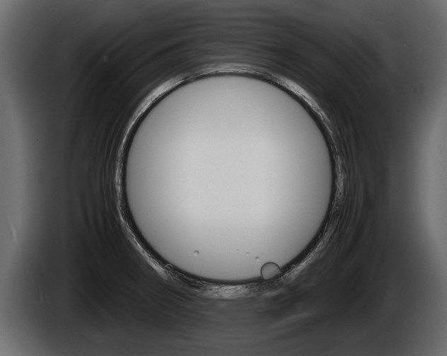 X0000086761282200704130806