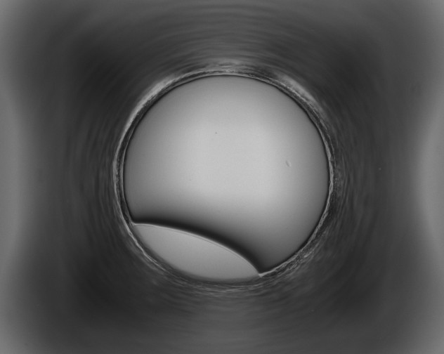 X0000086761283200704130806