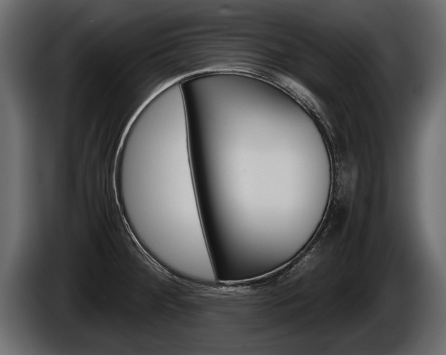 X0000086761284200704130806
