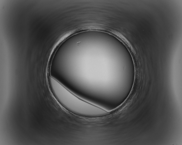 X0000086761285200704130806