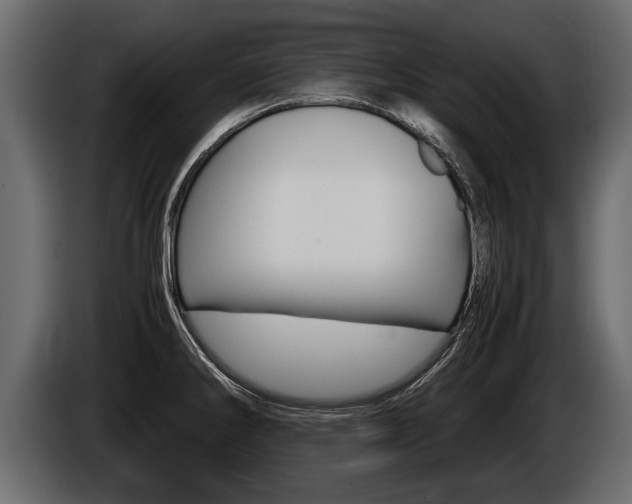X0000086761286200704130806