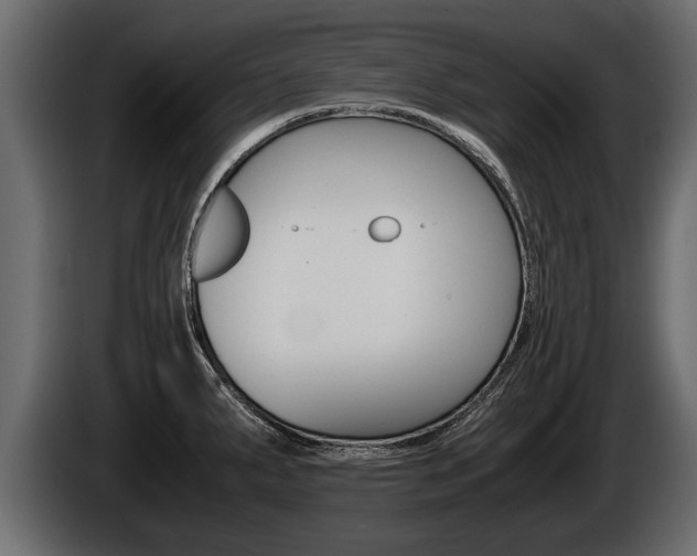 X0000086761287200704130806