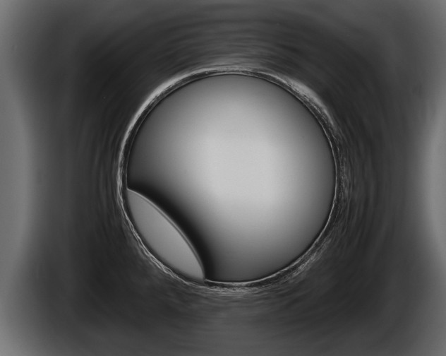 X0000086761288200704130806