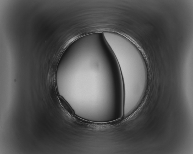 X0000086761289200704130806
