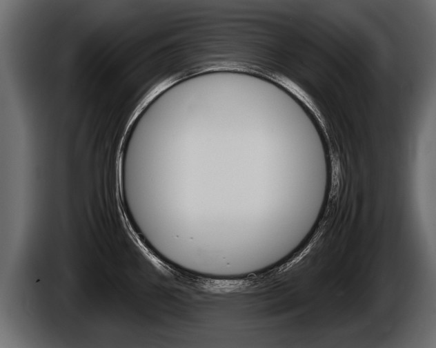 X0000086761290200704130806