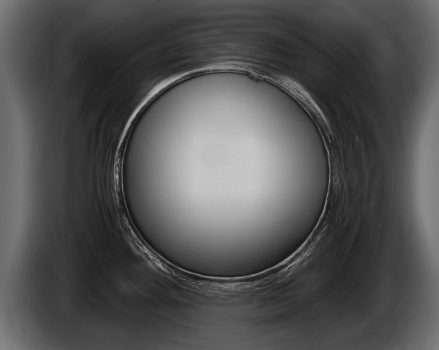 X0000086761292200704130806