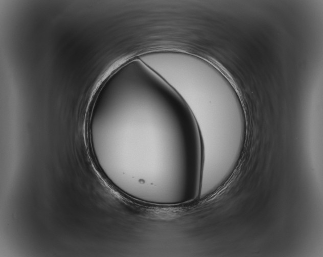 X0000086761293200704130806