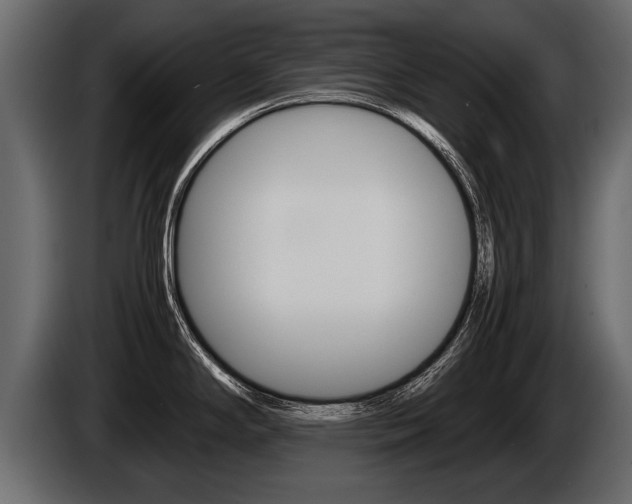 X0000086761294200704130806
