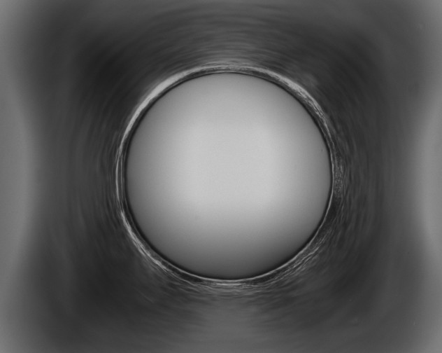 X0000086761295200704130806