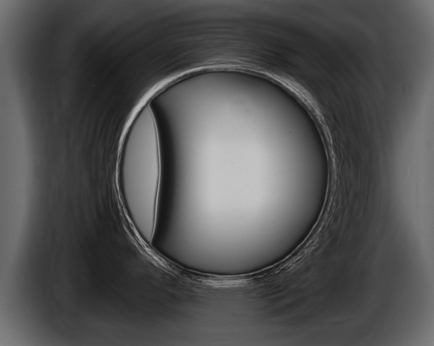 X0000086761296200704130806