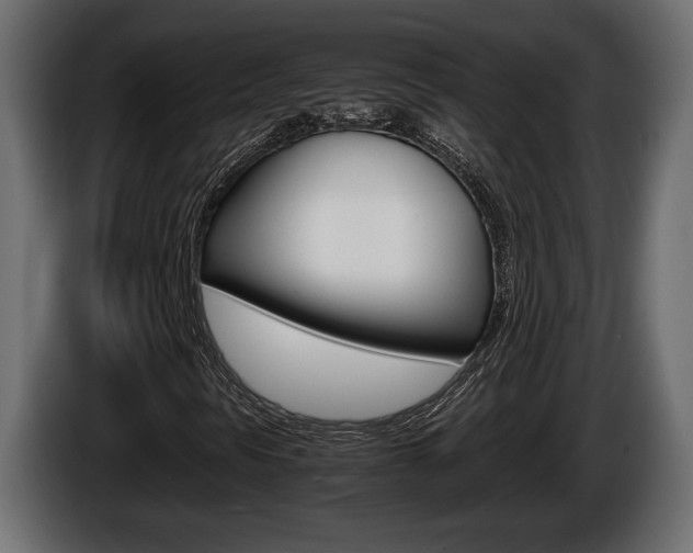 X0000086761297200704130805