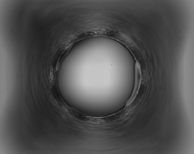 X0000086761298200704130805